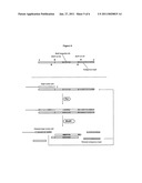 ISOTHERMAL DETECTION METHODS AND USES THEREOF diagram and image