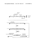 ISOTHERMAL DETECTION METHODS AND USES THEREOF diagram and image