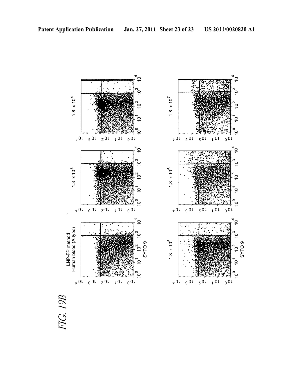 METHOD FOR DETECTION OF MICROORGANISM AND KIT FOR DETECTION OF MICROORGANISM - diagram, schematic, and image 24