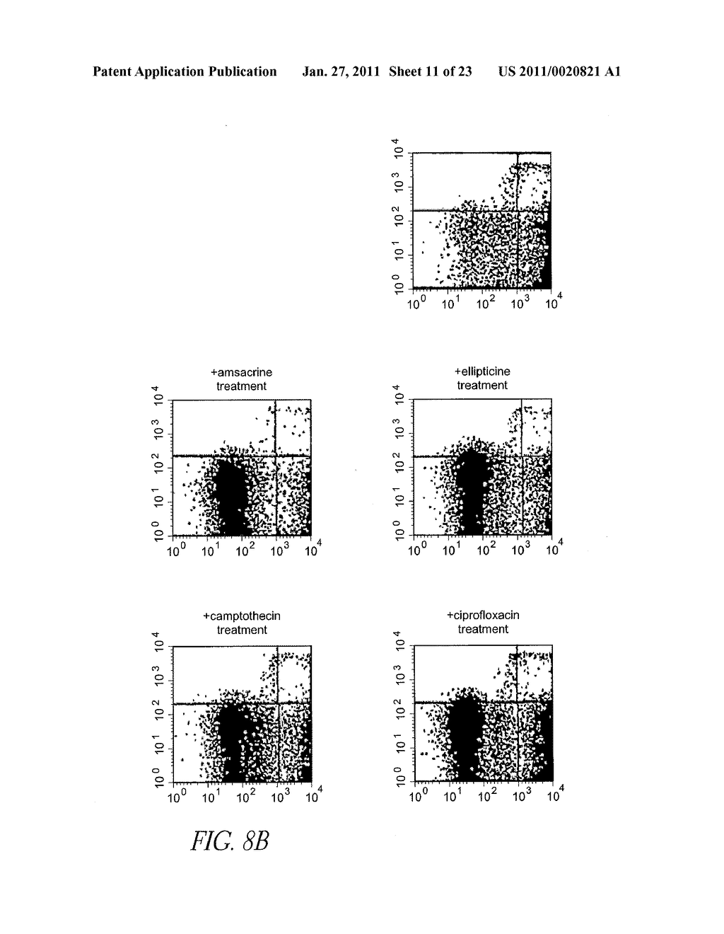 METHOD FOR DETECTION OF MICROORGANISM AND KIT FOR DETECTION OF MICROORGANISM - diagram, schematic, and image 12