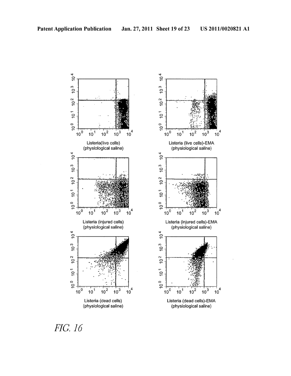 METHOD FOR DETECTION OF MICROORGANISM AND KIT FOR DETECTION OF MICROORGANISM - diagram, schematic, and image 20