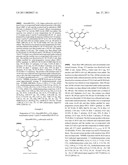 MODIFIED NUCLEOSIDES AND NUCLEOTIDES AND USES THEREOF diagram and image