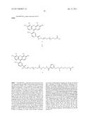 MODIFIED NUCLEOSIDES AND NUCLEOTIDES AND USES THEREOF diagram and image