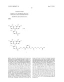 MODIFIED NUCLEOSIDES AND NUCLEOTIDES AND USES THEREOF diagram and image