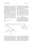 MODIFIED NUCLEOSIDES AND NUCLEOTIDES AND USES THEREOF diagram and image