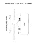 DESIGN FOR RAPIDLY CLONING ONE OR MORE POLYPEPTIDE CHAINS INTO AN EXPRESSION SYSTEM diagram and image