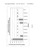 DESIGN FOR RAPIDLY CLONING ONE OR MORE POLYPEPTIDE CHAINS INTO AN EXPRESSION SYSTEM diagram and image