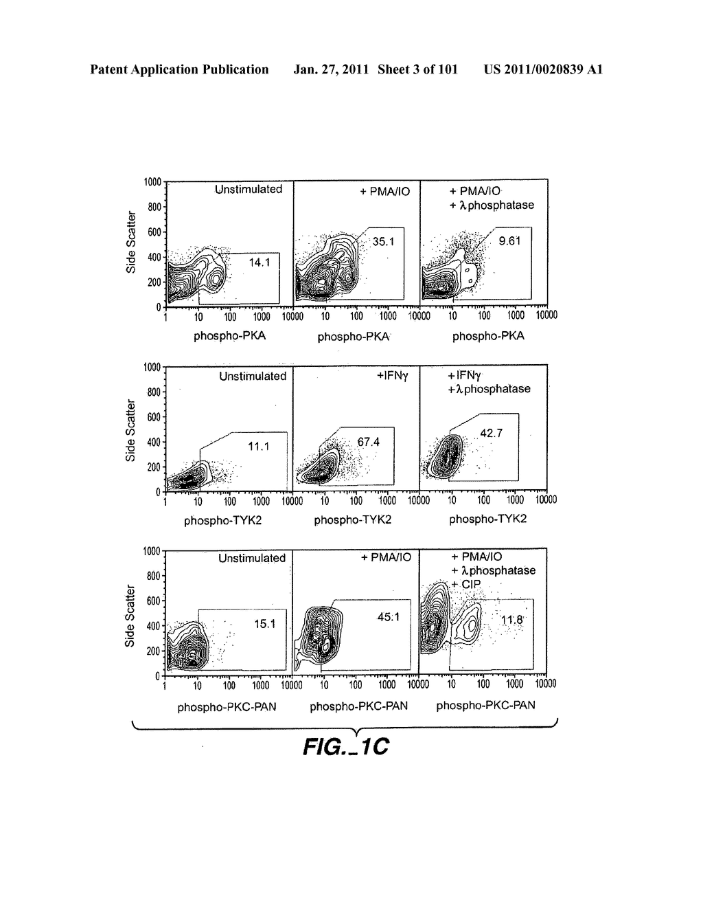 METHODS AND COMPOSITIONS FOR DETECTING THE ACTIVATION STATE OF MULTIPLE PROTEINS IN SINGLE CELLS - diagram, schematic, and image 04