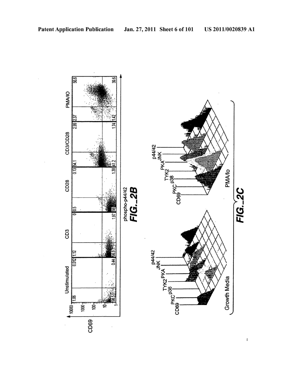 METHODS AND COMPOSITIONS FOR DETECTING THE ACTIVATION STATE OF MULTIPLE PROTEINS IN SINGLE CELLS - diagram, schematic, and image 07