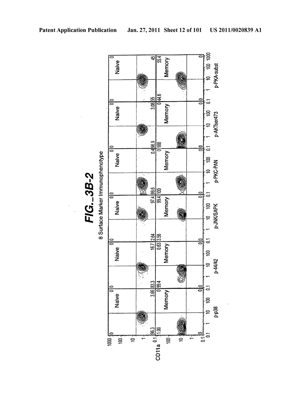 METHODS AND COMPOSITIONS FOR DETECTING THE ACTIVATION STATE OF MULTIPLE PROTEINS IN SINGLE CELLS - diagram, schematic, and image 13