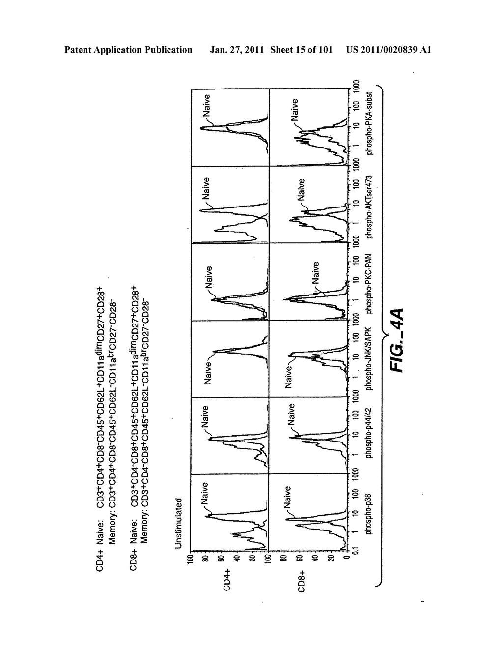 METHODS AND COMPOSITIONS FOR DETECTING THE ACTIVATION STATE OF MULTIPLE PROTEINS IN SINGLE CELLS - diagram, schematic, and image 16