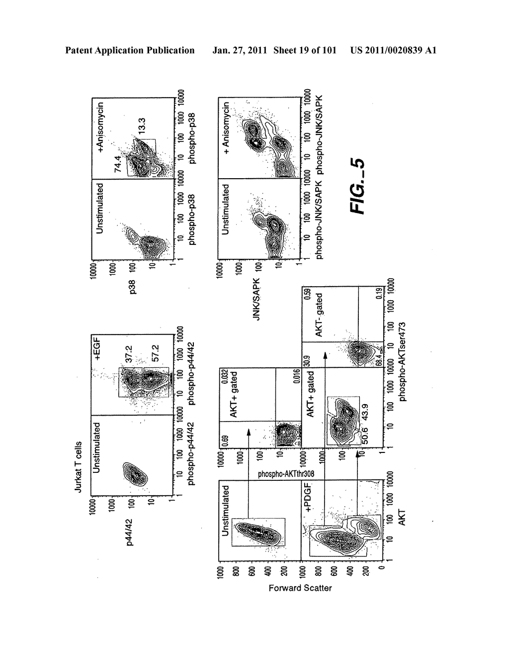 METHODS AND COMPOSITIONS FOR DETECTING THE ACTIVATION STATE OF MULTIPLE PROTEINS IN SINGLE CELLS - diagram, schematic, and image 20