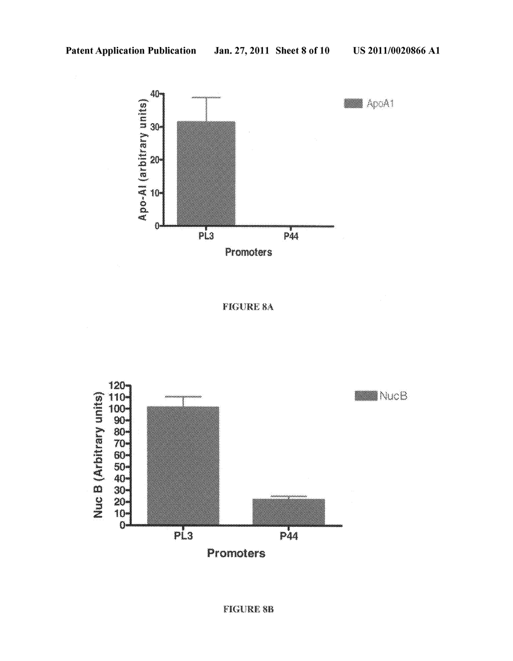 Promoter sequence for the expression of recombinant proteins in Lactococcus lactis - diagram, schematic, and image 09