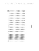 ACYL-ACP THIOESTERASE GENES AND USES THEREFOR diagram and image