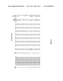 ACYL-ACP THIOESTERASE GENES AND USES THEREFOR diagram and image