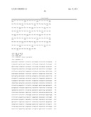 ACYL-ACP THIOESTERASE GENES AND USES THEREFOR diagram and image