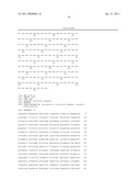 ACYL-ACP THIOESTERASE GENES AND USES THEREFOR diagram and image