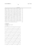 ACYL-ACP THIOESTERASE GENES AND USES THEREFOR diagram and image