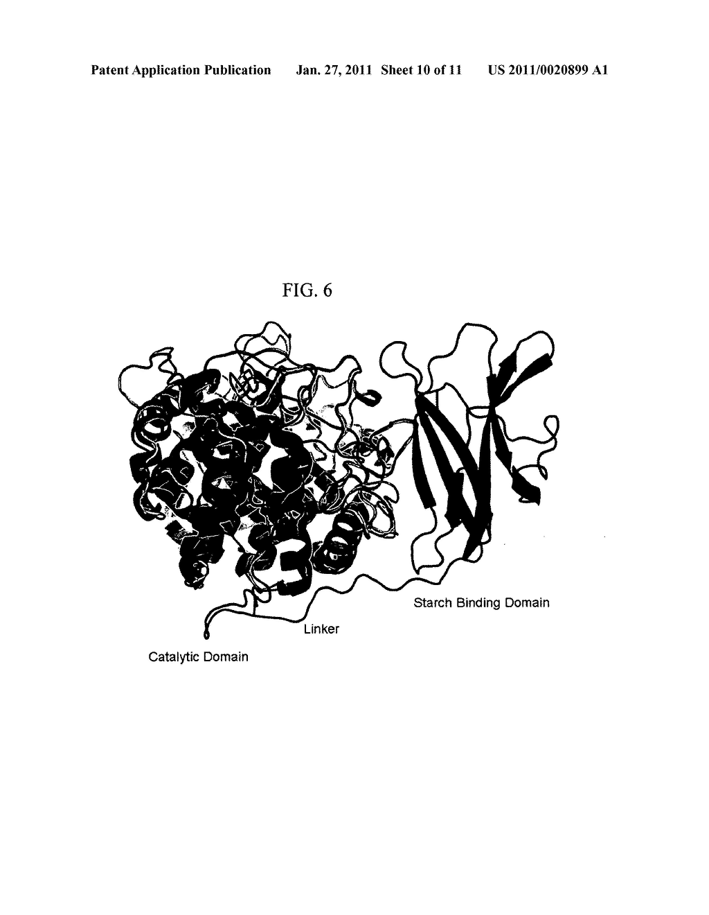 GLUCOAMYLASE VARIANTS WITH ALTERED PROPERTIES - diagram, schematic, and image 11