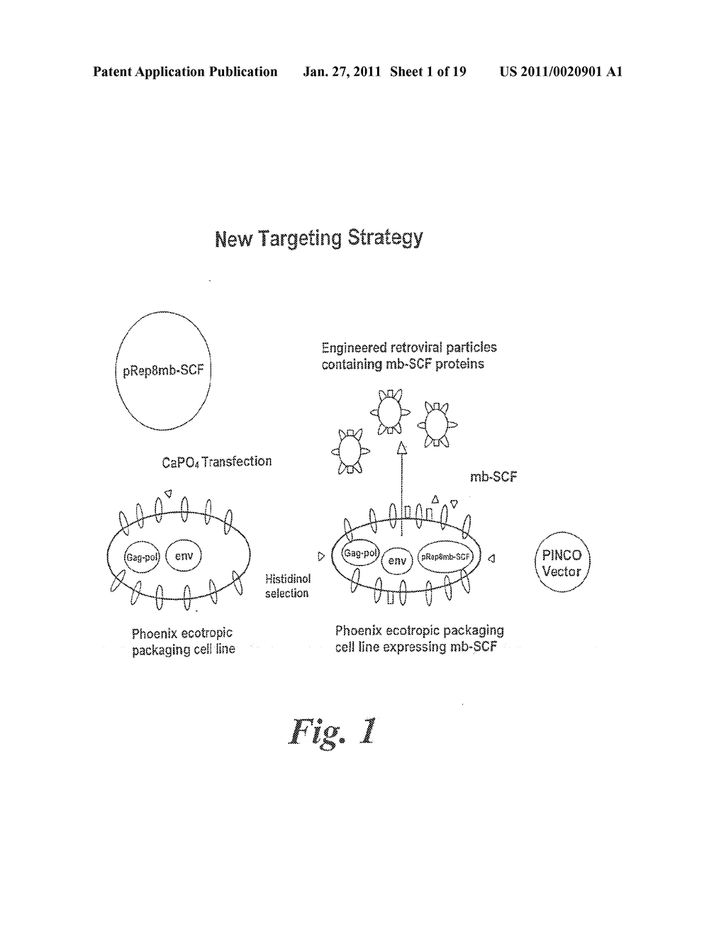 Methods of Making Viral Particles Having a Modified Cell Binding Activity and Uses Thereof - diagram, schematic, and image 02