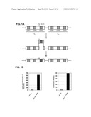 METHOD FOR THE CONSTRUCTION OF RANDOMIZED GENE SEQUENCE LIBRARIES IN CELLS diagram and image