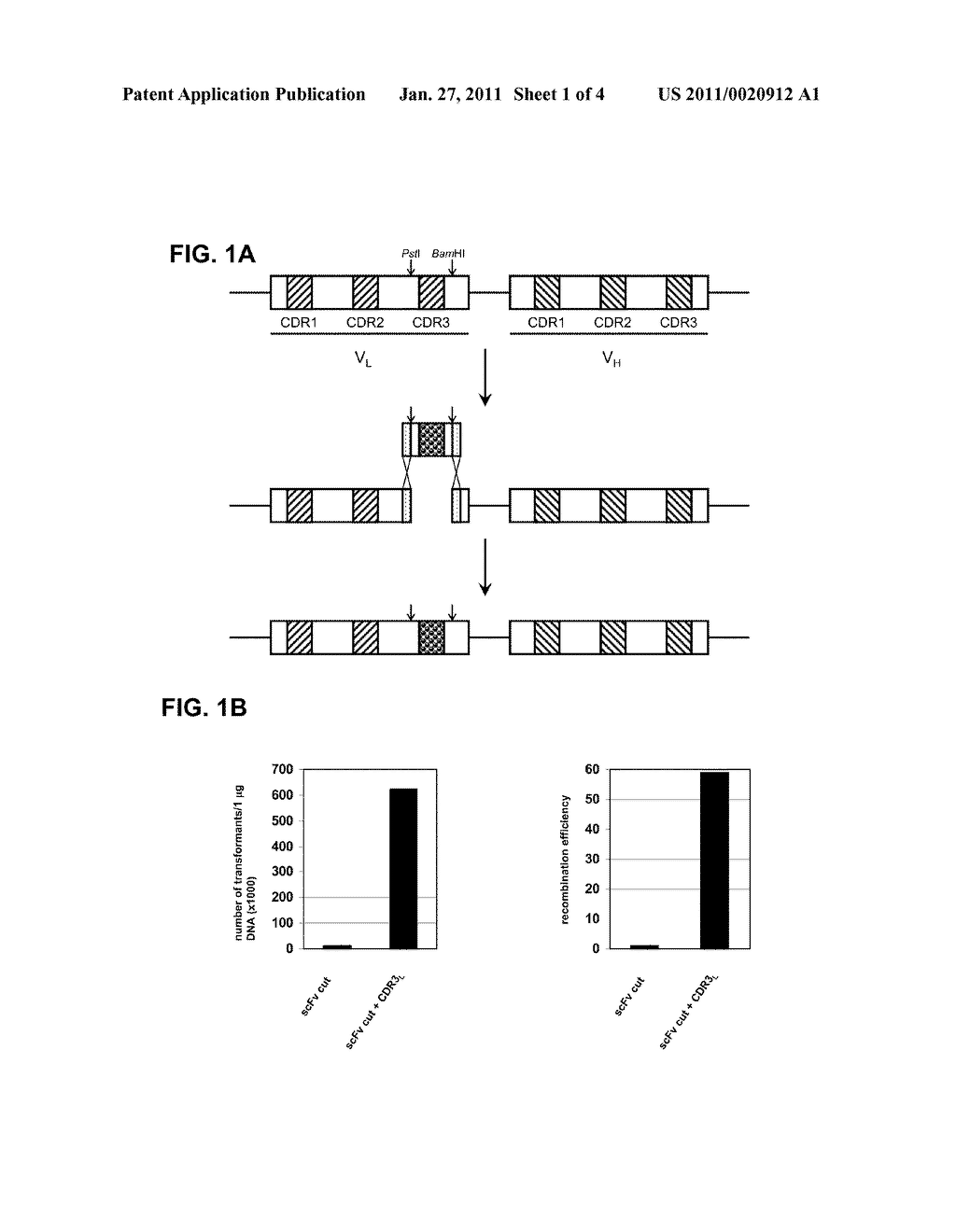 METHOD FOR THE CONSTRUCTION OF RANDOMIZED GENE SEQUENCE LIBRARIES IN CELLS - diagram, schematic, and image 02