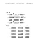 METHOD FOR THE CONSTRUCTION OF RANDOMIZED GENE SEQUENCE LIBRARIES IN CELLS diagram and image