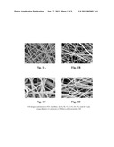 NANOFIBERS CONTAINING LATENT REACTIVE GROUPS diagram and image