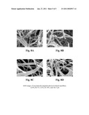 NANOFIBERS CONTAINING LATENT REACTIVE GROUPS diagram and image