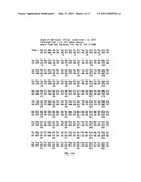 HIGHLY PURE PLASMID DNA PREPARATIONS diagram and image