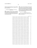 HIGHLY PURE PLASMID DNA PREPARATIONS diagram and image