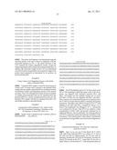 HIGHLY PURE PLASMID DNA PREPARATIONS diagram and image