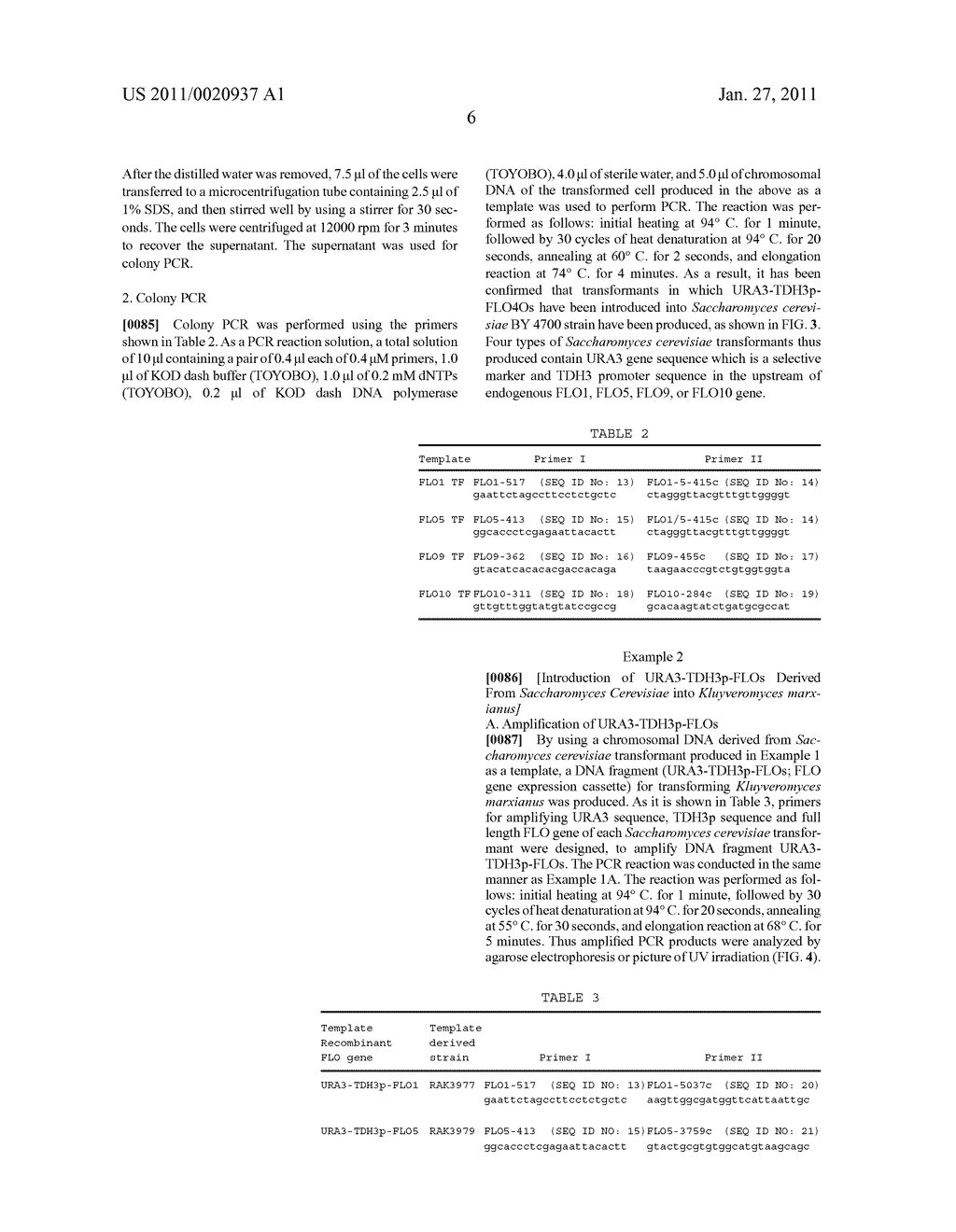 FLOCCULENT YEAST AND METHOD FOR PRODUCTION THEREOF - diagram, schematic, and image 14