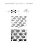 SCAFFOLD FOR COMPOSITE BIOMIMETIC MEMBRANE diagram and image