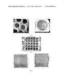 SCAFFOLD FOR COMPOSITE BIOMIMETIC MEMBRANE diagram and image