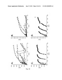 SCAFFOLD FOR COMPOSITE BIOMIMETIC MEMBRANE diagram and image