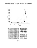 SCAFFOLD FOR COMPOSITE BIOMIMETIC MEMBRANE diagram and image