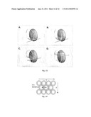 SCAFFOLD FOR COMPOSITE BIOMIMETIC MEMBRANE diagram and image