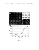 SCAFFOLD FOR COMPOSITE BIOMIMETIC MEMBRANE diagram and image