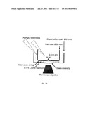 SCAFFOLD FOR COMPOSITE BIOMIMETIC MEMBRANE diagram and image