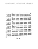 PURIFIED SR-P70 PROTEIN diagram and image