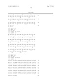 PURIFIED SR-P70 PROTEIN diagram and image