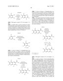 HERBICIDAL COMPOUNDS diagram and image