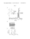 DIAGNOSIS AND MONITORING OF MYCOBACTERIUM TUBERCULOSIS INFECTION diagram and image