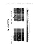 Sphingosine 1-Phosphate Receptor Gene, SPPR diagram and image