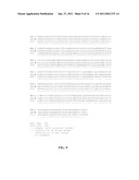 Sphingosine 1-Phosphate Receptor Gene, SPPR diagram and image