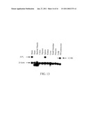 Sphingosine 1-Phosphate Receptor Gene, SPPR diagram and image