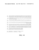 Sphingosine 1-Phosphate Receptor Gene, SPPR diagram and image