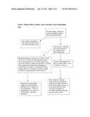 ENRICHED HAPTOGLOBIN POLYMERS FOR THE TREATMENT OF DISEASE diagram and image