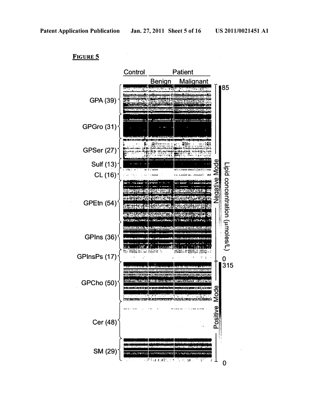 LIPID TUMOUR PROFILE - diagram, schematic, and image 06